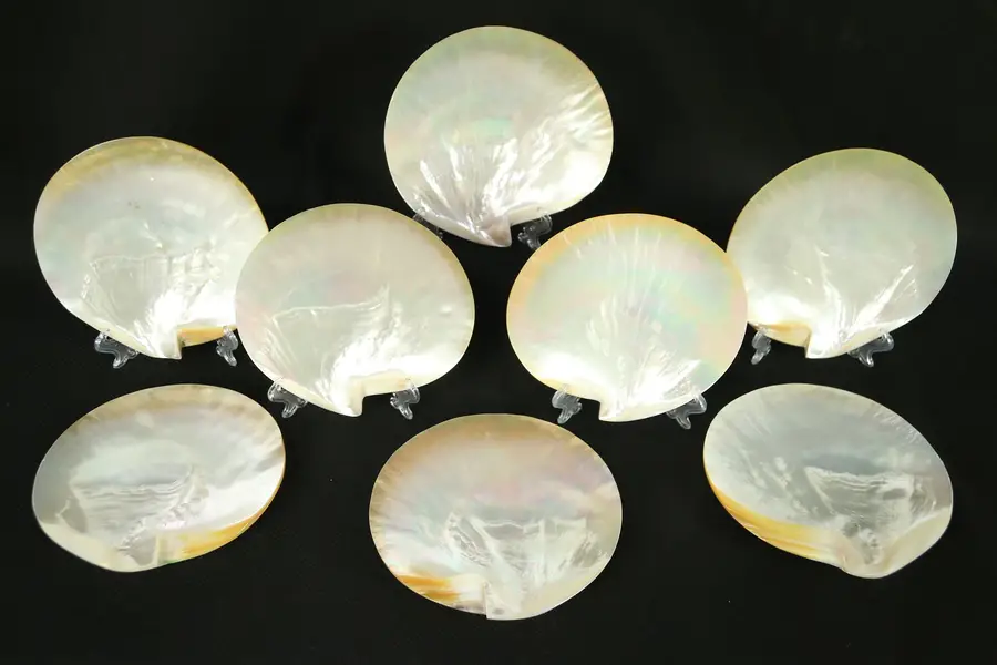 Photo of Set of 8 Vintage Mother of Pearl Natural Shell Seafood Plates