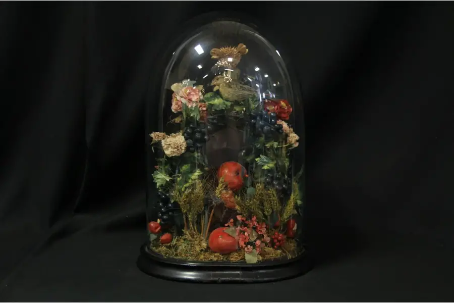 Photo of American Victorian Diorama in Glass Dome