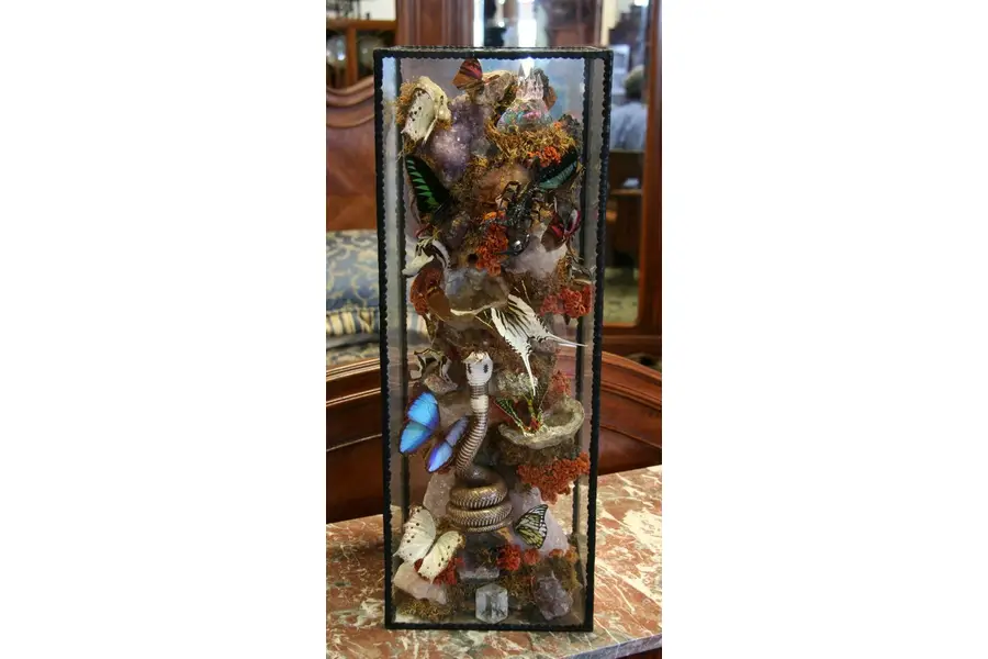 Photo of Diorama Tropical Butterflies, Minerals, Scorpion