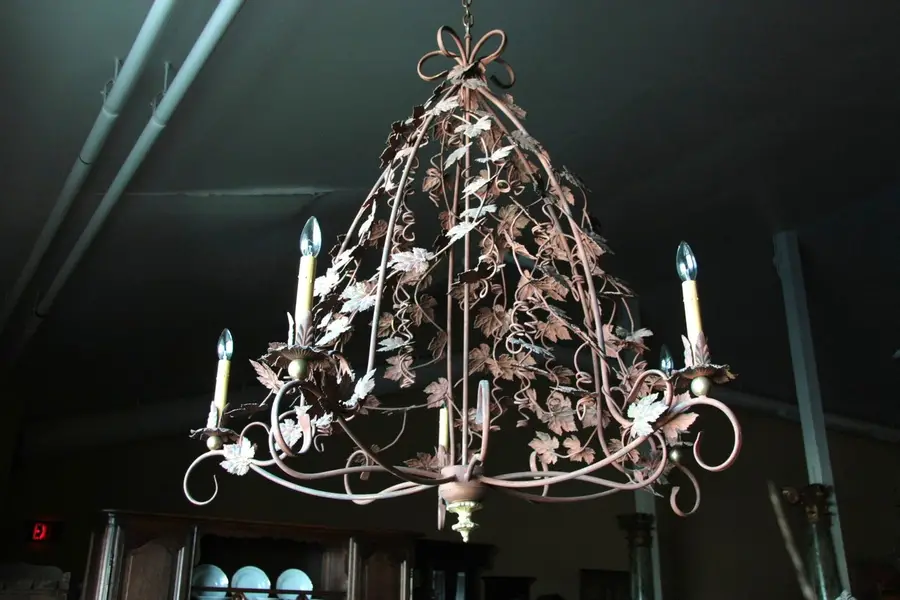 Photo of Wrought Iron Grapevine Chandelier
