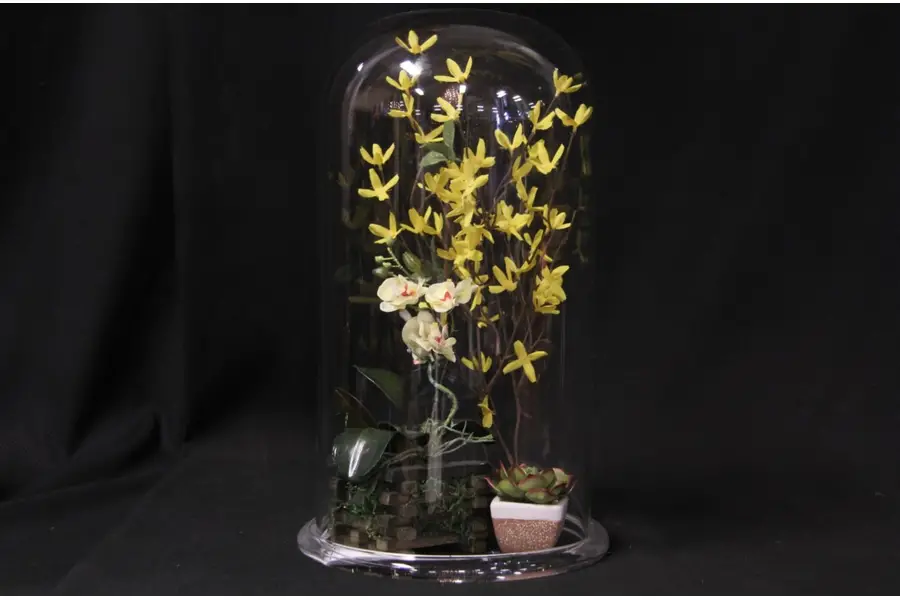 Photo of Cloche or Bell Jar 16" Antique Glass Dome