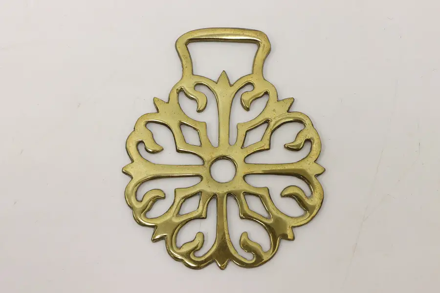 Photo of Horse Antique Brass Harness Medallion