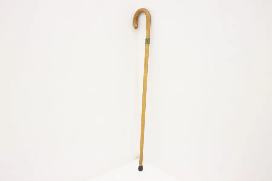 Photo of Chicago 1933 World Fair Vintage Walking Cane or Stick