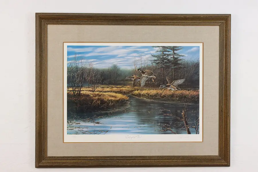 Photo of Flying Ducks Vintage Signed Art Print Terry Redlin 34.5"