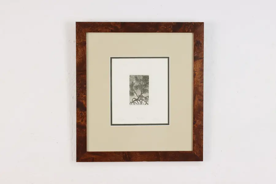 Photo of Pine Tree Branch Vintage Original Etching Print Pino 13"