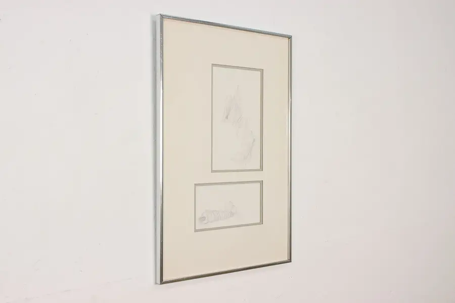 Photo of Seashells Vintage Framed Pencil Drawings 24.5"