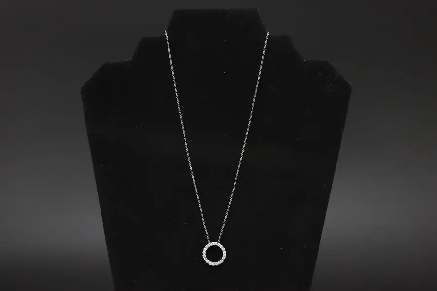 Photo of Diamonique Style Sterling Silver CZ Circle Pendant Necklace