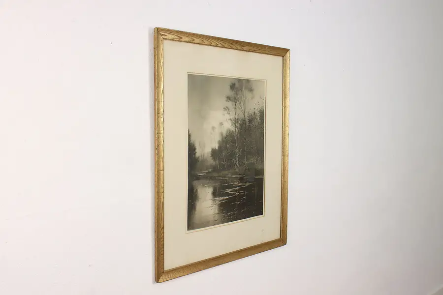 Photo of Forest River Antique Origina l1907 Lithograph Parton 36.5"