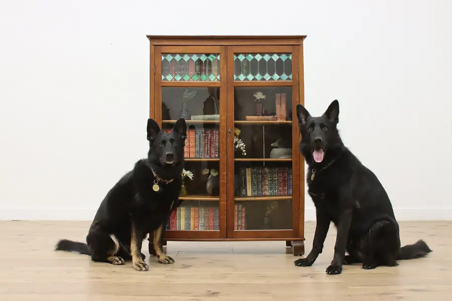 Photo of Arts & Crafts Antique Stained Glass & Oak Library Bookcase