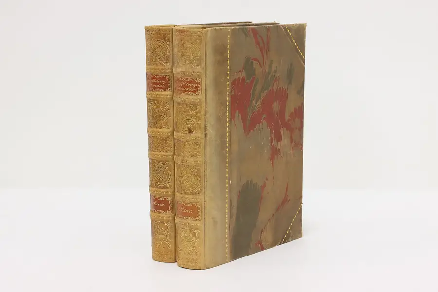 Photo of Pair of Antique Scandinavian Leather Bound Books