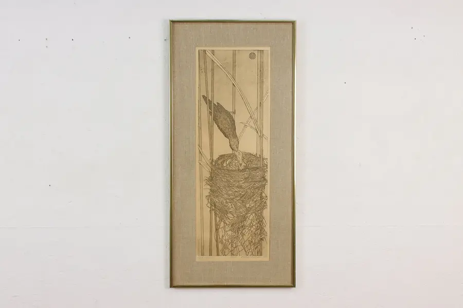 Photo of Reed Warbler Bird Numbered Print 1976 Bethia Brehmer 30"