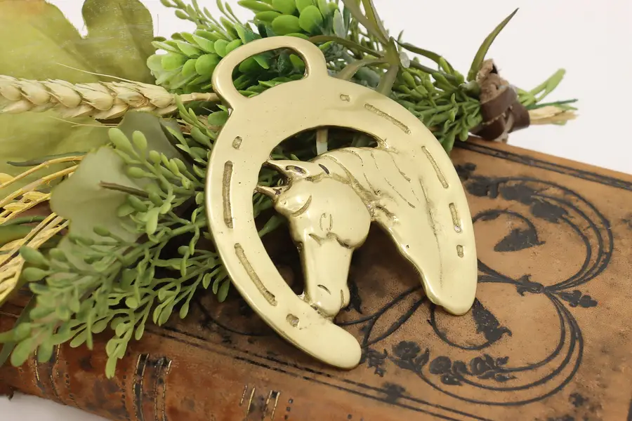 Photo of Farmhouse Vintage Brass Horse Harness Medallion, Horse Head