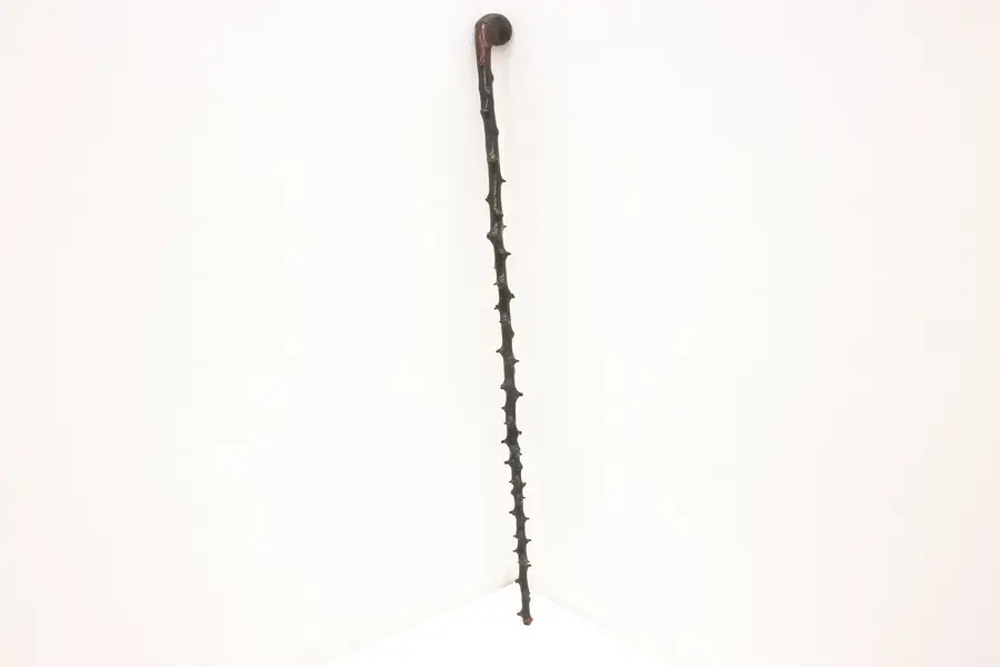 Photo of Farmhouse Vintage Carved Cherry Walking Stick or Cane