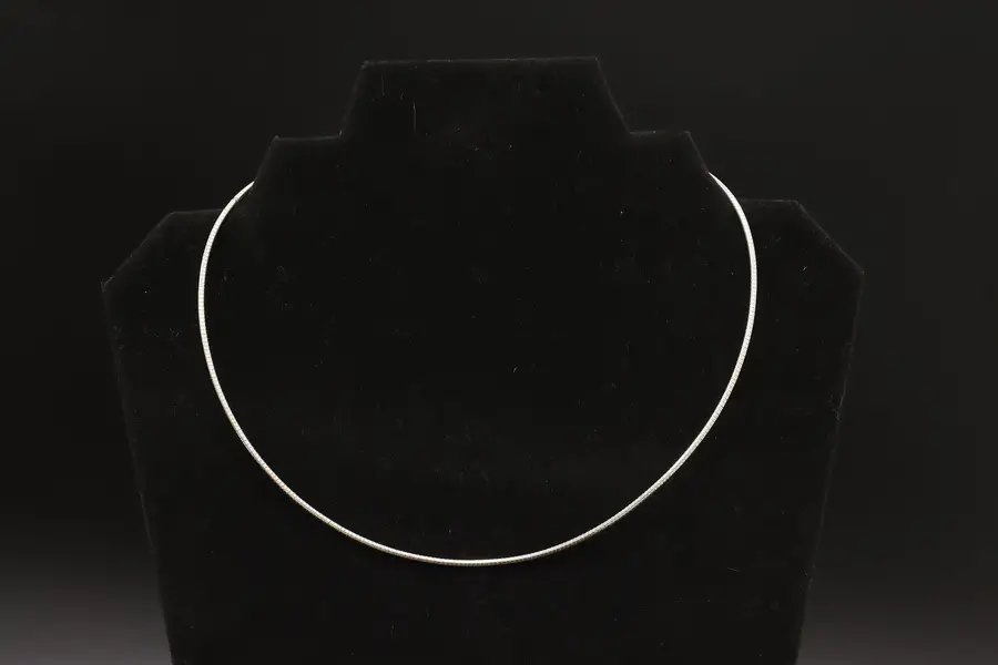 Photo of Sterling Silver 18" Coil Necklace