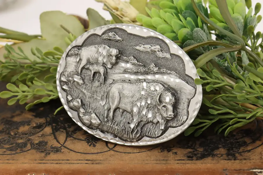 Photo of Bison Family Vintage Pewter Belt Buckle, Star