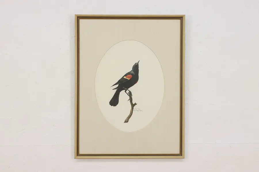 Photo of Red-Winged Blackbird Portrait Vintage Art Print Harm 25.5"