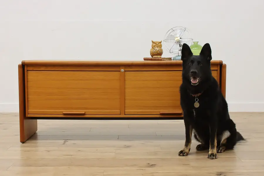 Photo of Midcentury Modern Vintage Teak Lateral File Credenza Dyrlund