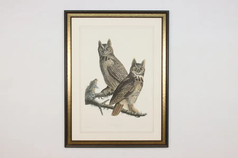 Photo of Great Horned Owl Antique Lithograph after Audubon 52"