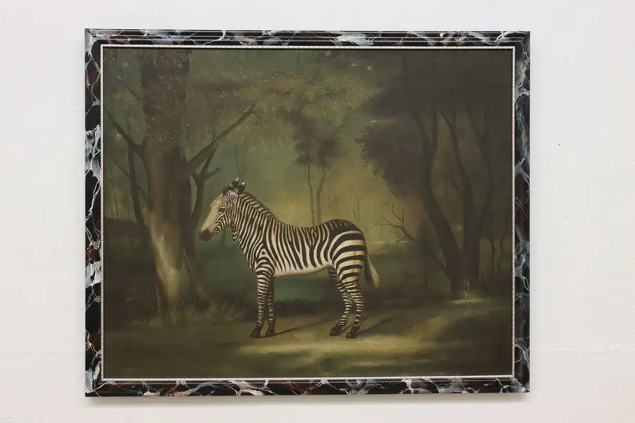 Photo of Zebra Vintage Oil Painting after George Stubbs Original 45"