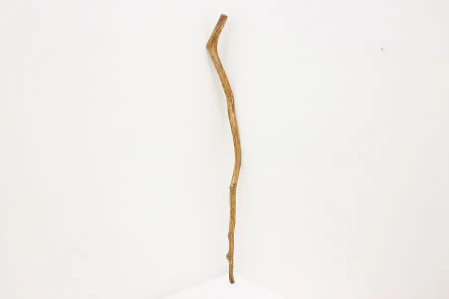 Photo of Natural Wood Vintage Hiking Stick or Walking Cane