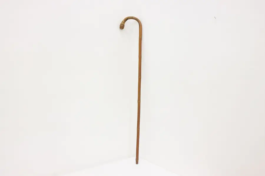 Photo of Bamboo Vintage Walking Stick or Cane