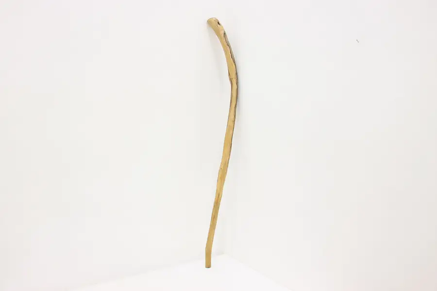 Photo of Forest Wood Vintage Walking Stick or Cane