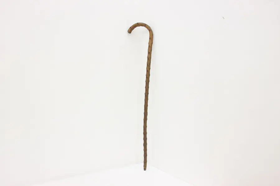 Photo of Natural Wood Vintage Walking Stick or Cane