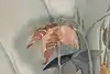 Thumbnail image 7