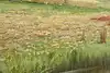 Thumbnail image 9