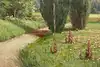 Thumbnail image 8