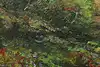 Thumbnail image 6