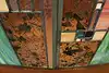 Thumbnail image 20