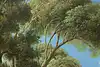 Thumbnail image 7
