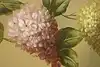 Thumbnail image 4