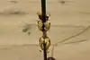 Thumbnail image 13
