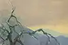 Thumbnail image 9