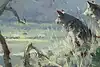 Thumbnail image 7