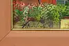 Thumbnail image 10