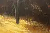 Thumbnail image 9