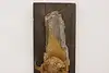 Thumbnail image 8