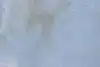 Thumbnail image 10