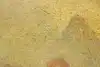 Thumbnail image 13