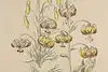 Thumbnail image 7