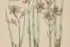 Thumbnail image 8