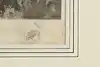 Thumbnail image 12