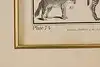 Thumbnail image 9