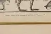 Thumbnail image 10