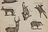 Thumbnail image 6