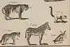 Thumbnail image 7