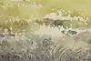Thumbnail image 9